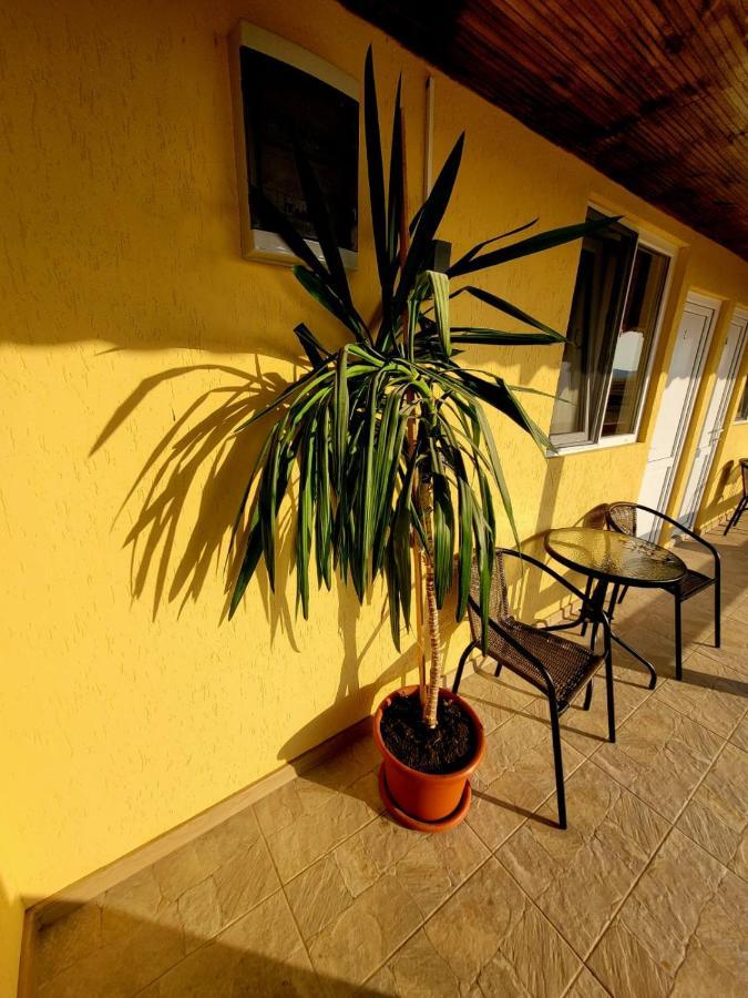 Cabana Varad Coronini Moldova Veche Exteriér fotografie